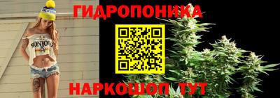 мдпв Пугачёв