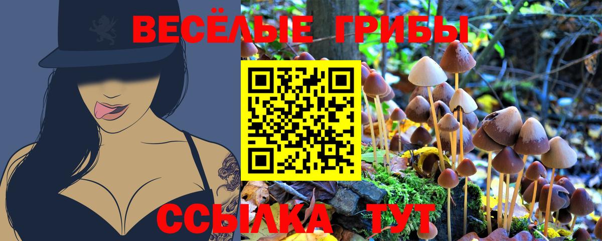 Петропавловск-Камчатский  Галлюциногенные грибы Cubensis  Вход с VPN 